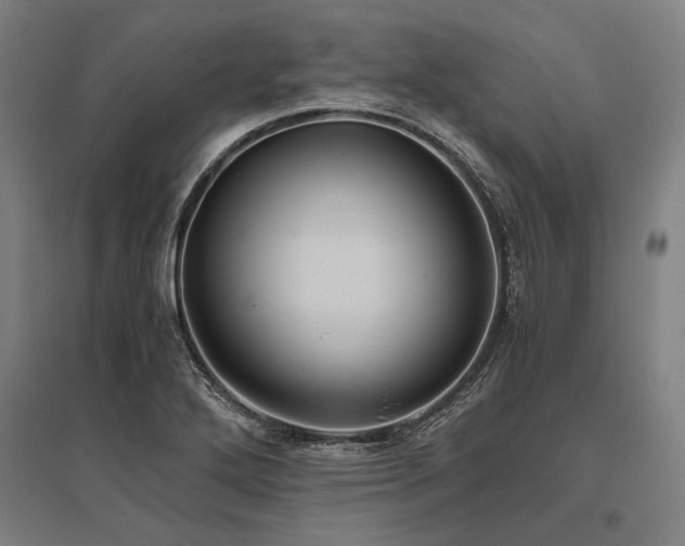 X0000096161272200801181217