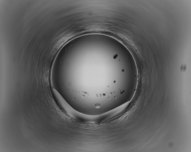 X0000096161273200801181217