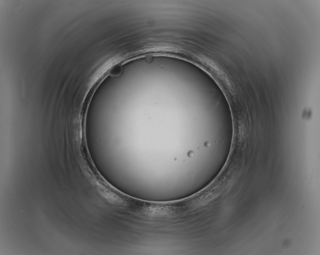 X0000096161274200801181216