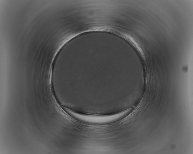 X0000096161276200801181216