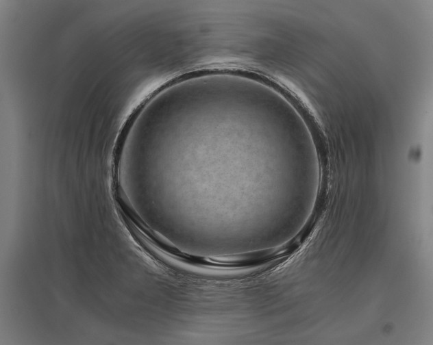 X0000096161277200801181216