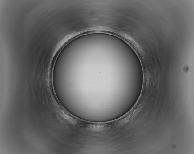 X0000096161278200801181216