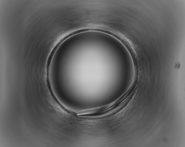 X0000096161280200801181216