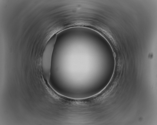 X0000096161281200801181216