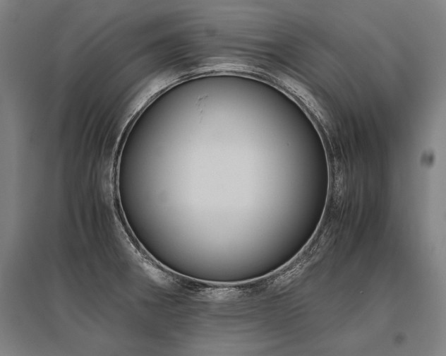 X0000096161282200801181216