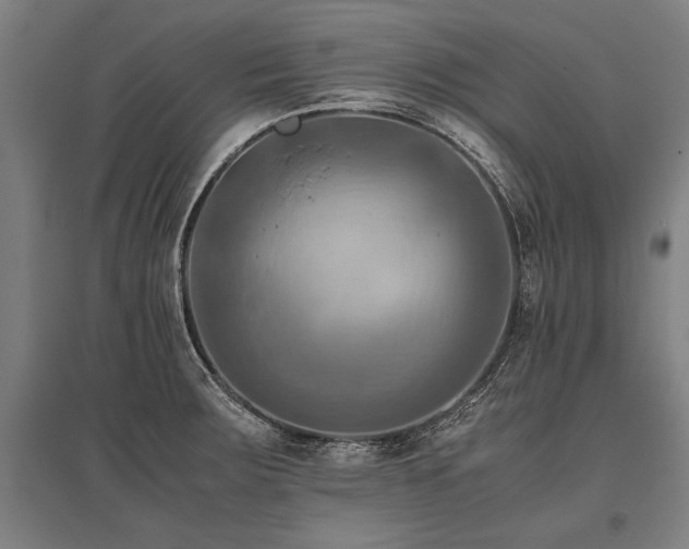X0000096161283200801181216