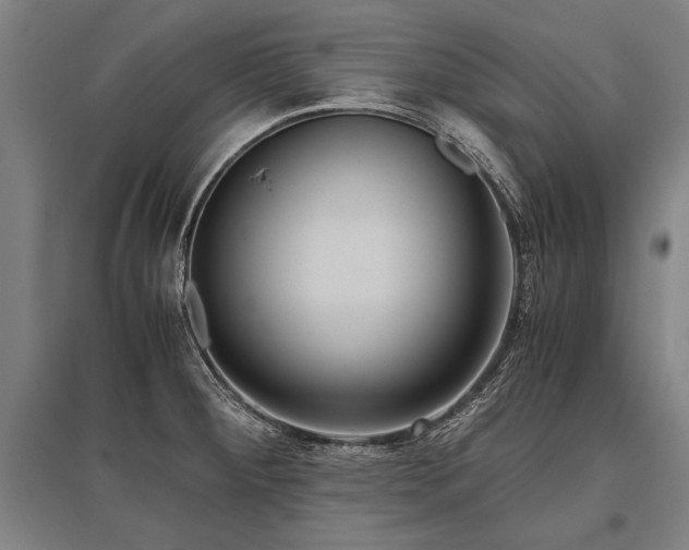 X0000096161284200801181216