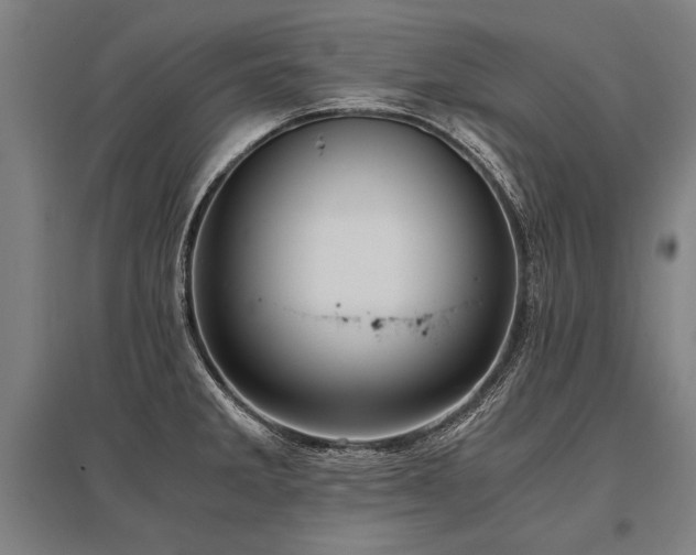 X0000096161285200801181216