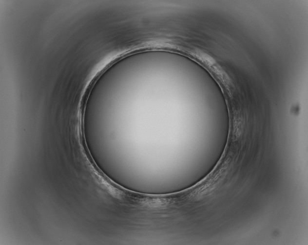 X0000096161286200801181216