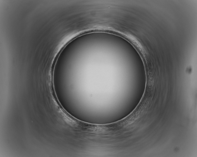 X0000096161287200801181216