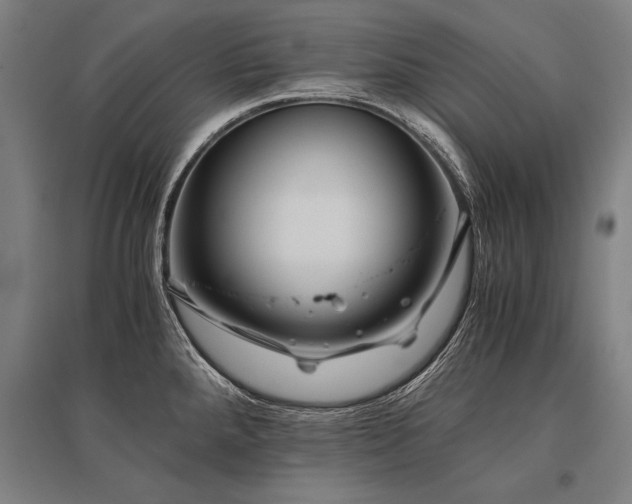 X0000096161288200801181216