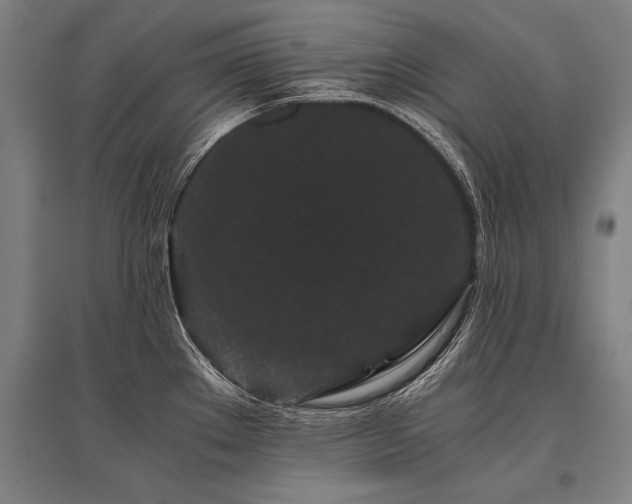 X0000096161289200801181216