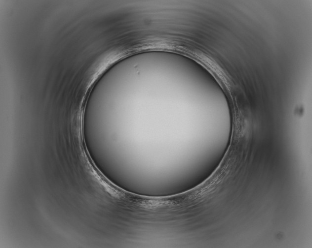 X0000096161290200801181216