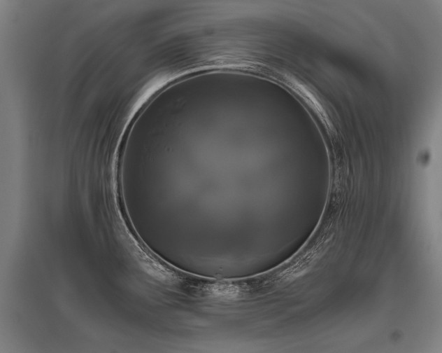 X0000096161291200801181216