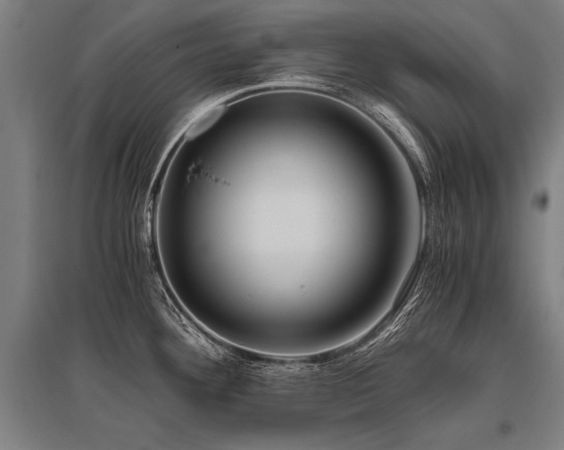 X0000096161292200801181216