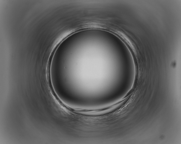 X0000096161293200801181216