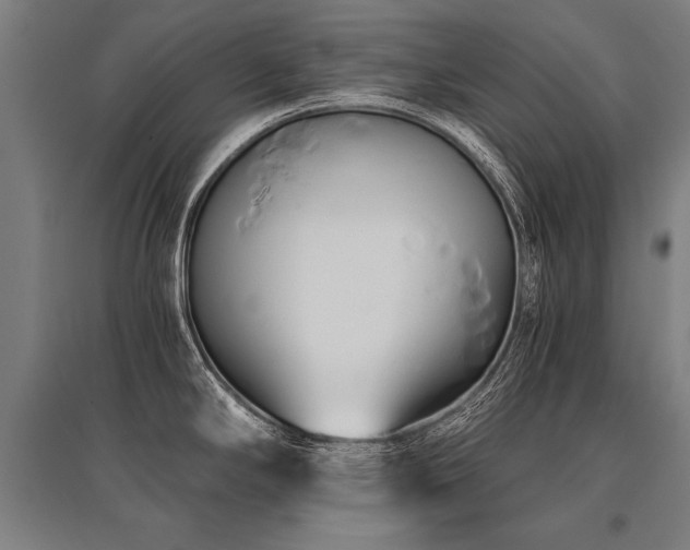 X0000096161294200801181216