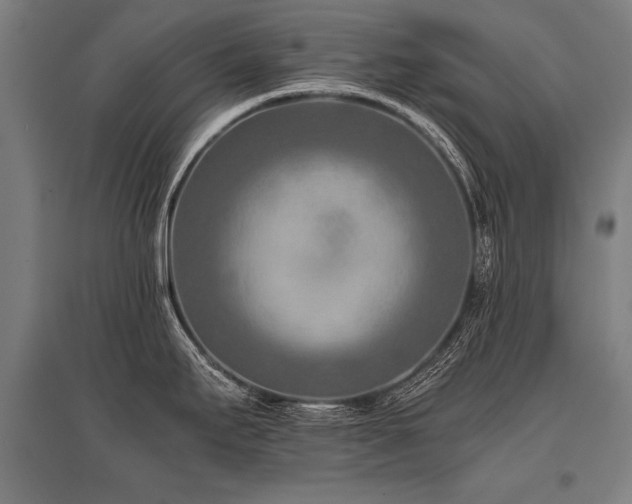 X0000096161295200801181216