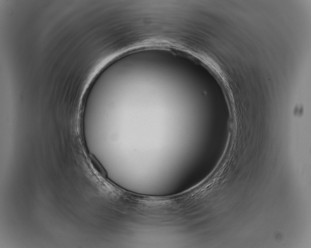 X0000096161296200801181216