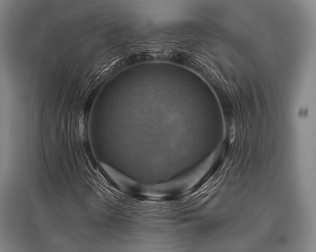X0000096161298200801181216