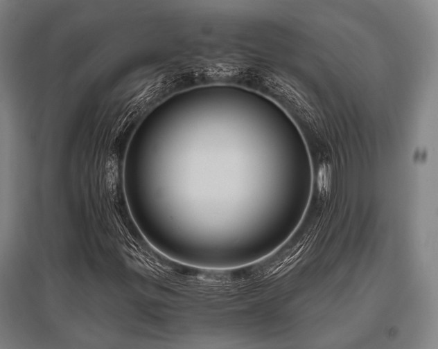 X0000096161299200801181216
