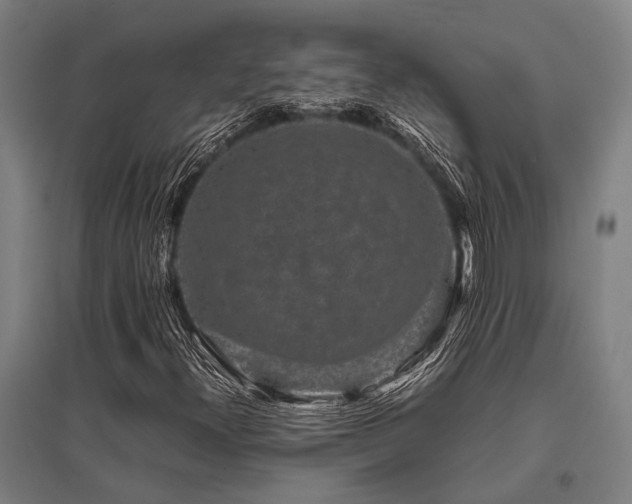 X0000096161300200801181216