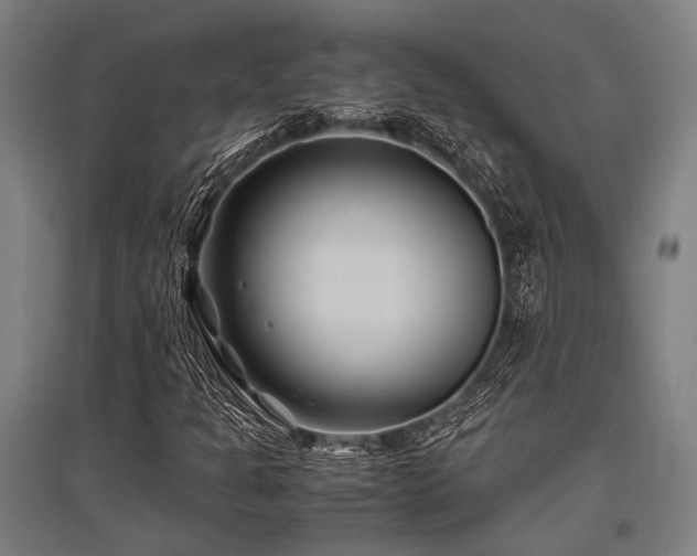 X0000096161301200801181216