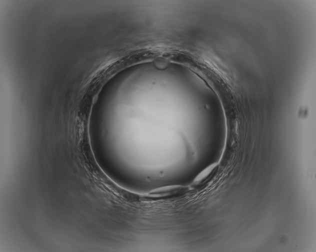 X0000096161302200801181216