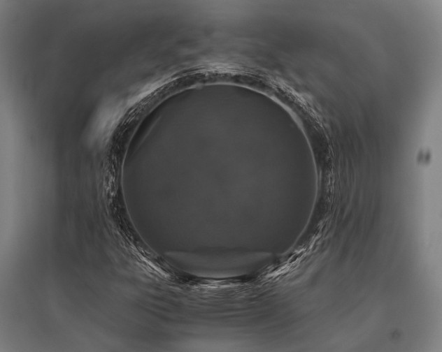 X0000096161303200801181216