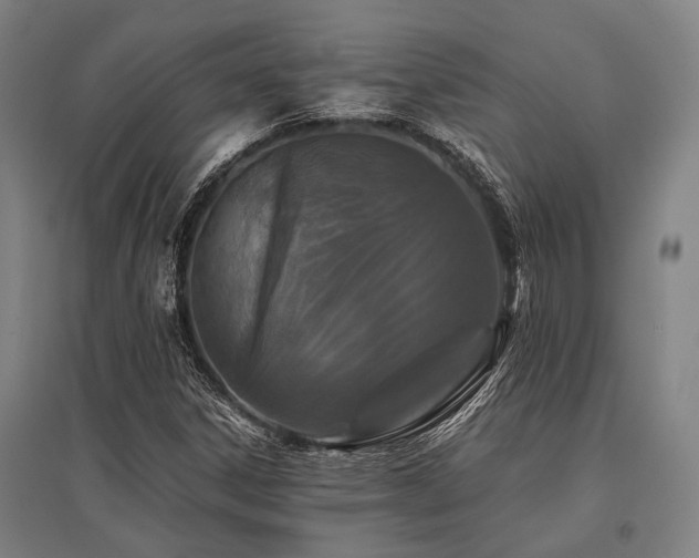 X0000096161306200801181216