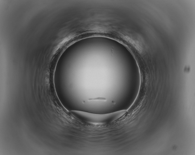 X0000096161307200801181216