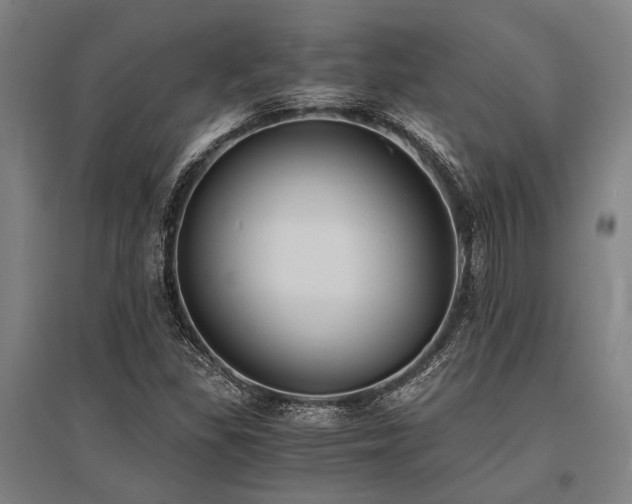X0000096161309200801181216