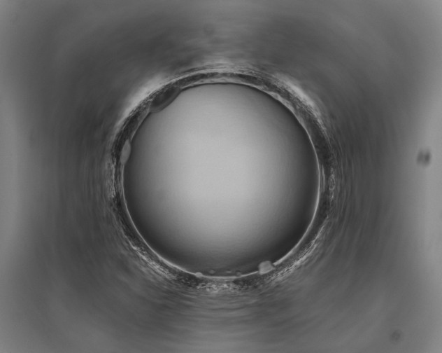 X0000096161310200801181216