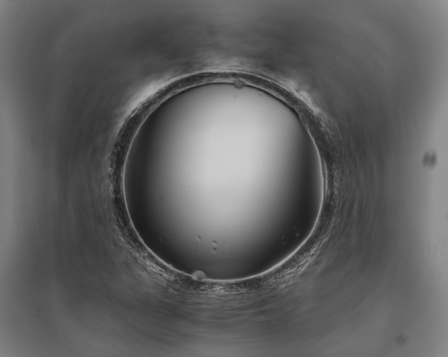X0000096161311200801181216