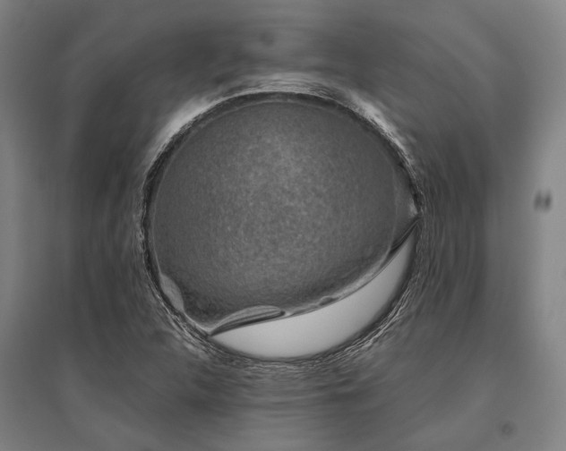 X0000096161312200801181216