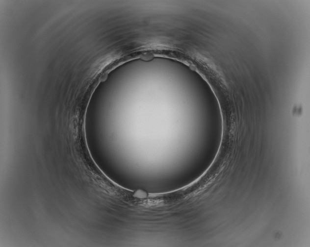 X0000096161313200801181216