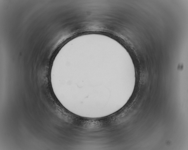 X0000096161314200801181216