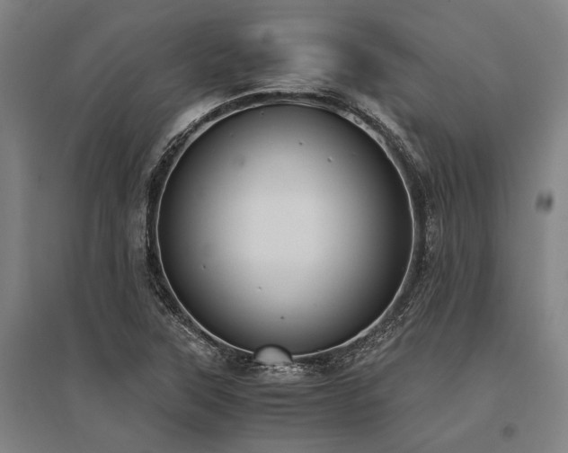 X0000096161315200801181216