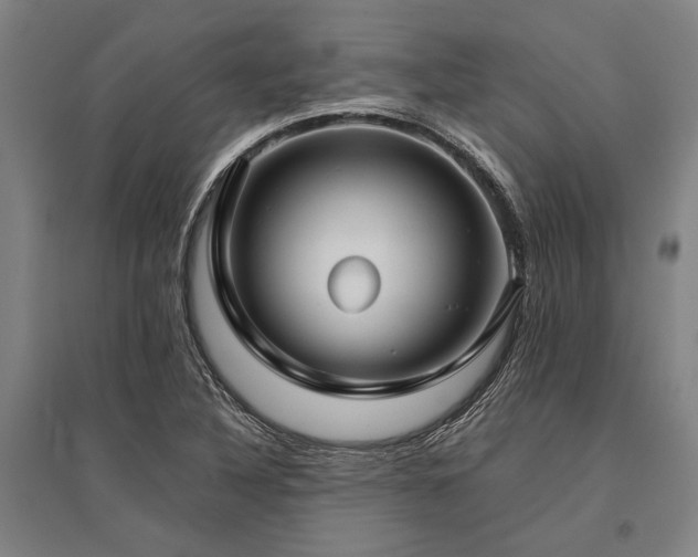 X0000096161316200801181216