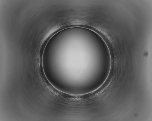 X0000096161317200801181216