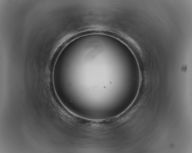 X0000096161318200801181216