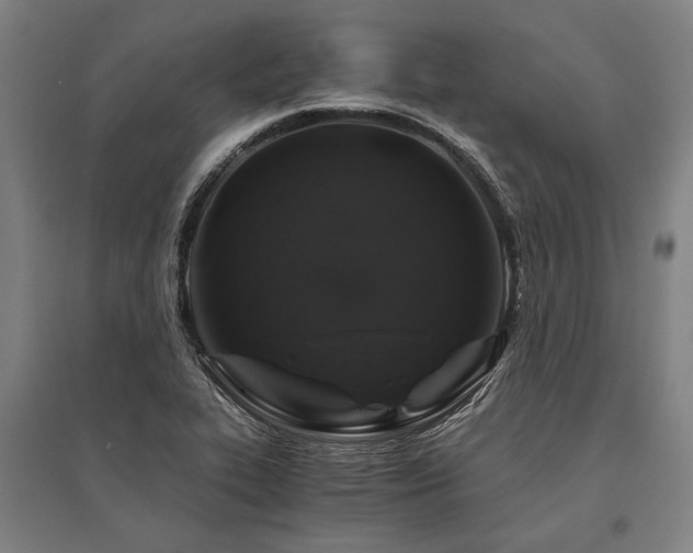 X0000096161319200801181216