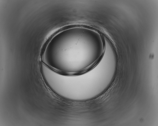 X0000096161320200801181216