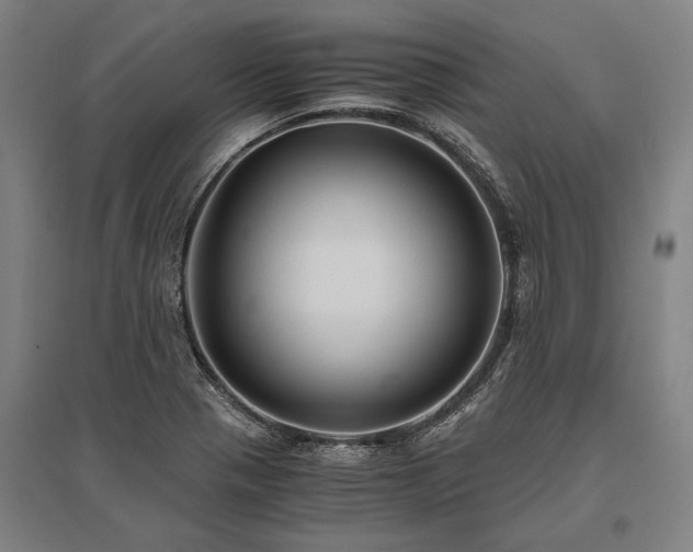 X0000096161321200801181216