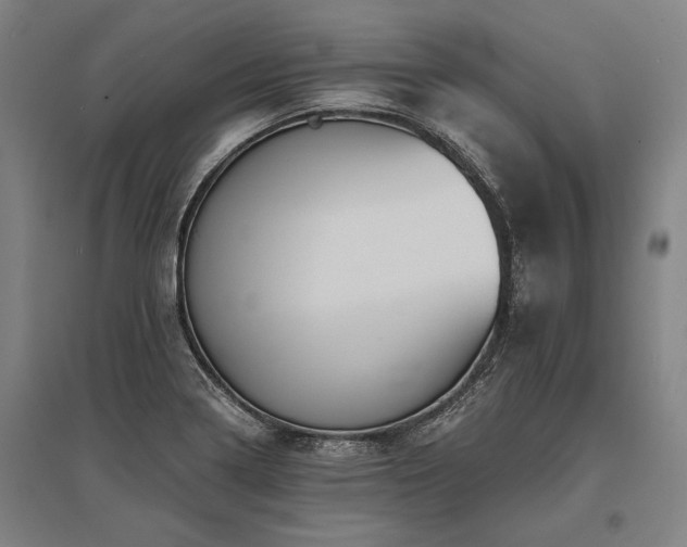 X0000096161322200801181216