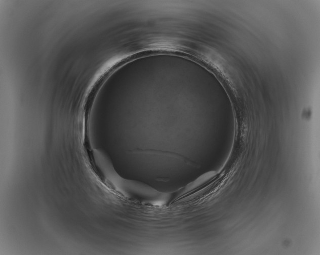 X0000096161323200801181216