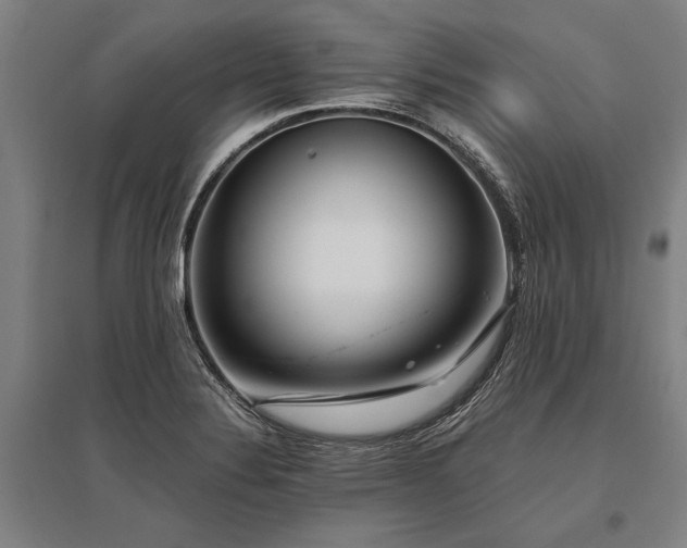 X0000096161324200801181216