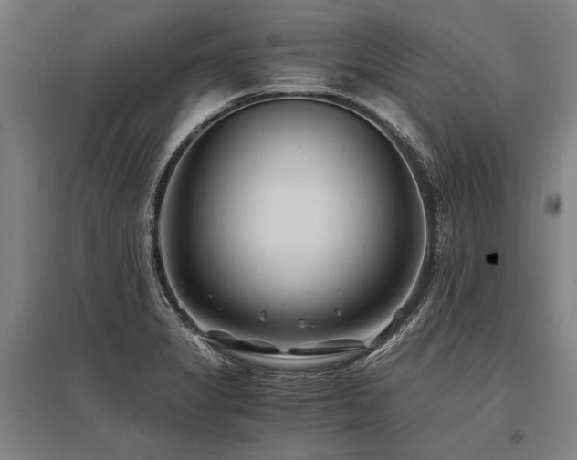X0000096161325200801181216