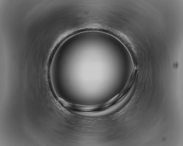 X0000096161326200801181216
