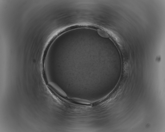 X0000096161327200801181216